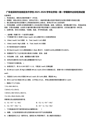广东省深圳市龙岗区东升学校2025-2026学年化学高一第一学期期中达标检测试题含解析