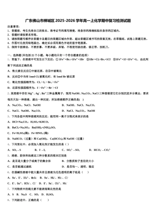 广东佛山市禅城区2025-2026学年高一上化学期中复习检测试题含解析