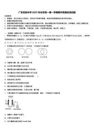 广东实验中学2025年化学高一第一学期期中质量检测试题含解析