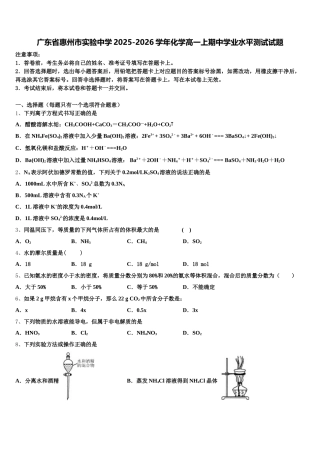 广东省惠州市实验中学2025-2026学年化学高一上期中学业水平测试试题含解析