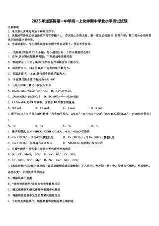 2025年遂溪县第一中学高一上化学期中学业水平测试试题含解析