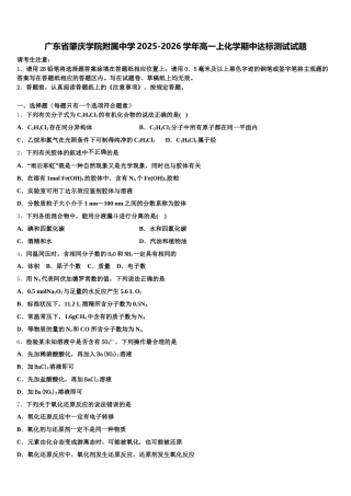 广东省肇庆学院附属中学2025-2026学年高一上化学期中达标测试试题含解析