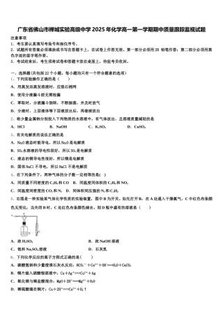 广东省佛山市禅城实验高级中学2025年化学高一第一学期期中质量跟踪监视试题含解析