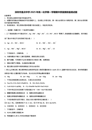 深圳市重点中学2025年高一化学第一学期期中质量跟踪监视试题含解析
