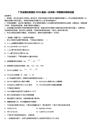 广东省肇庆联盟校2026届高一化学第一学期期中调研试题含解析
