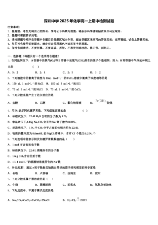 深圳中学2025年化学高一上期中检测试题含解析