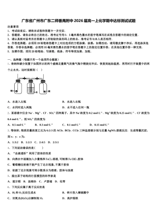 广东省广州市广东二师番禺附中2026届高一上化学期中达标测试试题含解析