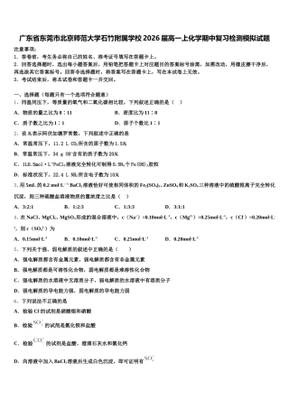 广东省东莞市北京师范大学石竹附属学校2026届高一上化学期中复习检测模拟试题含解析