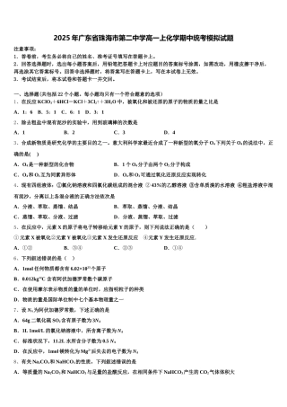 2025年广东省珠海市第二中学高一上化学期中统考模拟试题含解析