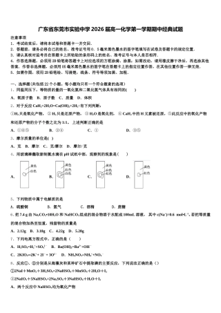 广东省东莞市实验中学2026届高一化学第一学期期中经典试题含解析