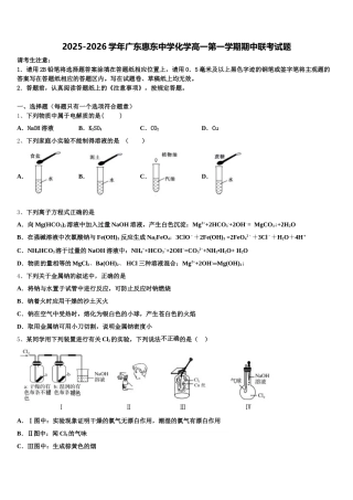 2025-2026学年广东惠东中学化学高一第一学期期中联考试题含解析