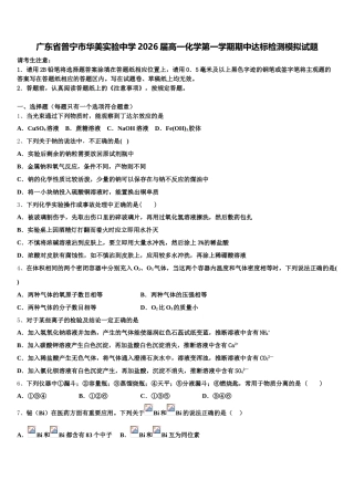 广东省普宁市华美实验中学2026届高一化学第一学期期中达标检测模拟试题含解析