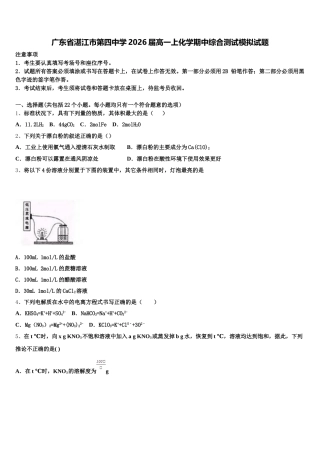 广东省湛江市第四中学2026届高一上化学期中综合测试模拟试题含解析