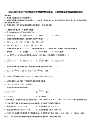 2025年广东省广州市华南师大附属中学化学高一上期中质量跟踪监视模拟试题含解析