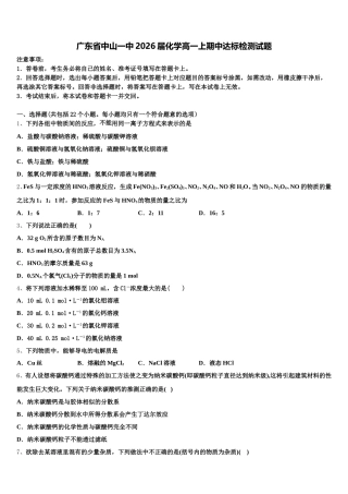 广东省中山一中2026届化学高一上期中达标检测试题含解析
