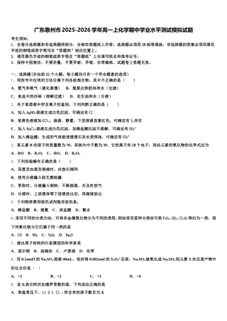 广东惠州市2025-2026学年高一上化学期中学业水平测试模拟试题含解析