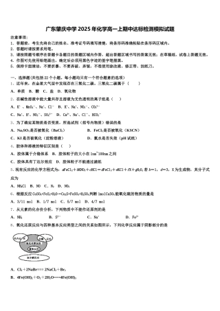 广东肇庆中学2025年化学高一上期中达标检测模拟试题含解析