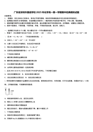 广东省深圳外国语学校2025年化学高一第一学期期中经典模拟试题含解析