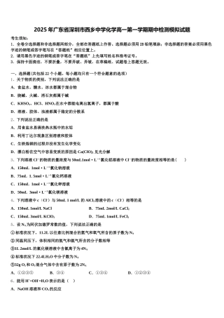 2025年广东省深圳市西乡中学化学高一第一学期期中检测模拟试题含解析