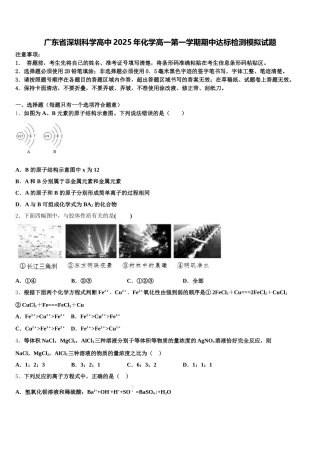 广东省深圳科学高中2025年化学高一第一学期期中达标检测模拟试题含解析