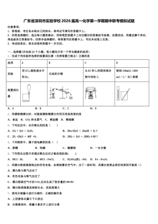 广东省深圳市实验学校2026届高一化学第一学期期中联考模拟试题含解析