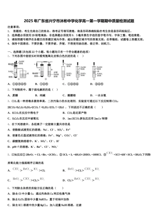2025年广东省兴宁市沐彬中学化学高一第一学期期中质量检测试题含解析