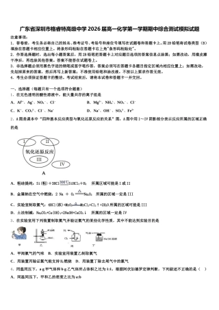 广东省深圳市格睿特高级中学2026届高一化学第一学期期中综合测试模拟试题含解析