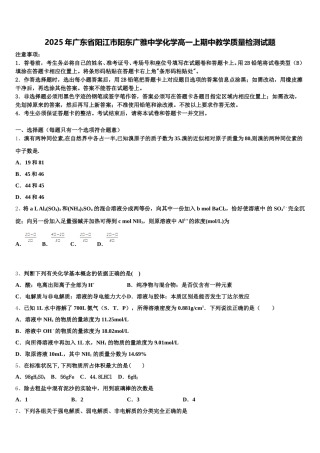 2025年广东省阳江市阳东广雅中学化学高一上期中教学质量检测试题含解析