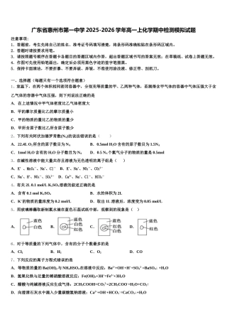 广东省惠州市第一中学2025-2026学年高一上化学期中检测模拟试题含解析