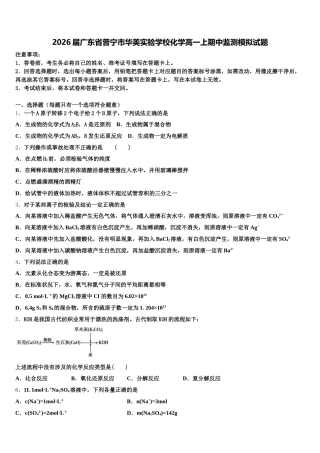 2026届广东省普宁市华美实验学校化学高一上期中监测模拟试题含解析
