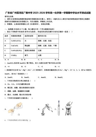 广东省广州荔湾区广雅中学2025-2026学年高一化学第一学期期中学业水平测试试题含解析