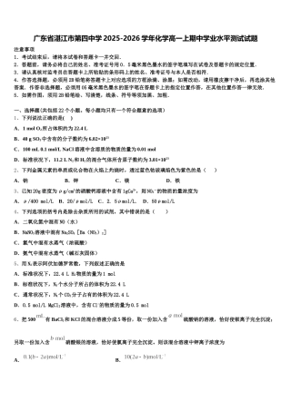 广东省湛江市第四中学2025-2026学年化学高一上期中学业水平测试试题含解析
