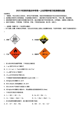 2025年深圳市重点中学高一上化学期中复习检测模拟试题含解析