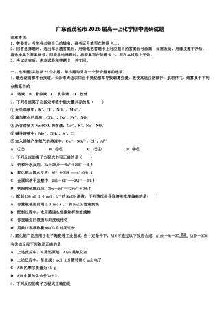广东省茂名市2026届高一上化学期中调研试题含解析