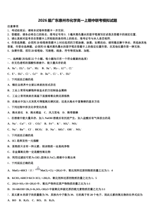 2026届广东惠州市化学高一上期中联考模拟试题含解析