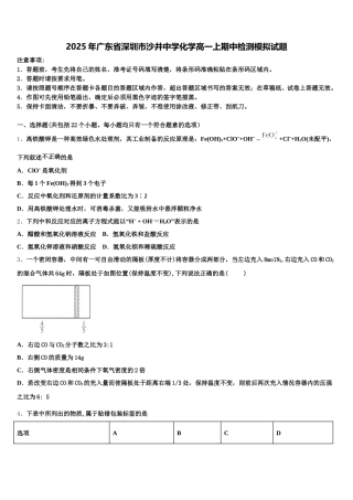 2025年广东省深圳市沙井中学化学高一上期中检测模拟试题含解析
