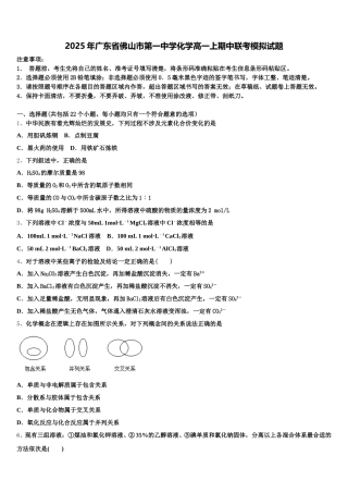 2025年广东省佛山市第一中学化学高一上期中联考模拟试题含解析