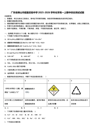 广东省佛山市超盈实验中学2025-2026学年化学高一上期中综合测试试题含解析