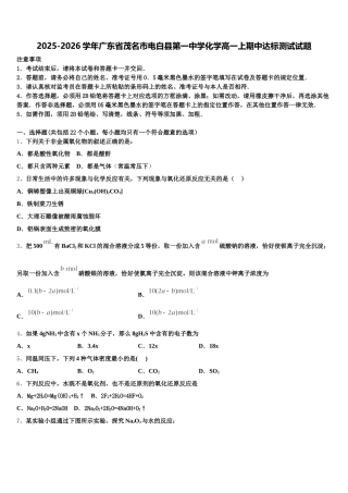 2025-2026学年广东省茂名市电白县第一中学化学高一上期中达标测试试题含解析