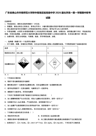 广东省佛山市华南师范大学附中南海实验高级中学2026届化学高一第一学期期中联考试题含解析