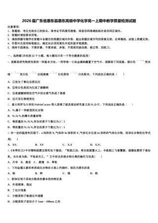 2026届广东省惠东县惠东高级中学化学高一上期中教学质量检测试题含解析