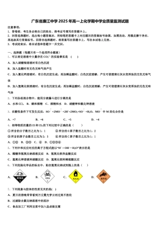 广东省廉江中学2025年高一上化学期中学业质量监测试题含解析