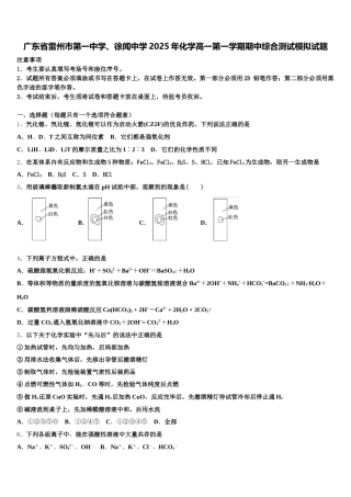 广东省雷州市第一中学、徐闻中学2025年化学高一第一学期期中综合测试模拟试题含解析
