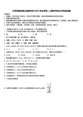 江苏省南京梅山高级中学2025年化学高一上期中学业水平测试试题含解析