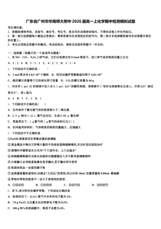 广东省广州市华南师大附中2026届高一上化学期中检测模拟试题含解析