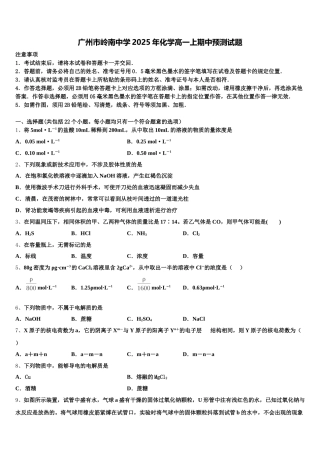广州市岭南中学2025年化学高一上期中预测试题含解析