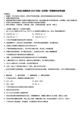 黑龙江省鹤岗市2025年高一化学第一学期期中统考试题含解析