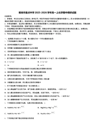 鹤岗市重点中学2025-2026学年高一上化学期中调研试题含解析