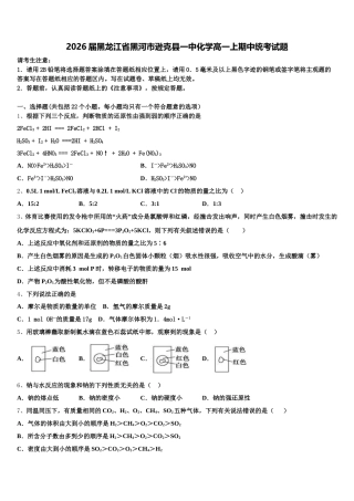 2026届黑龙江省黑河市逊克县一中化学高一上期中统考试题含解析
