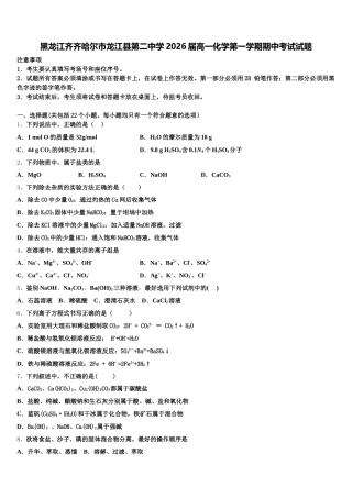 黑龙江齐齐哈尔市龙江县第二中学2026届高一化学第一学期期中考试试题含解析